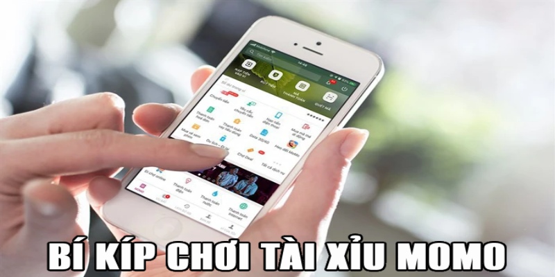 Bí kíp giúp túi tiền rủng rỉnh từ tài xỉu Momo