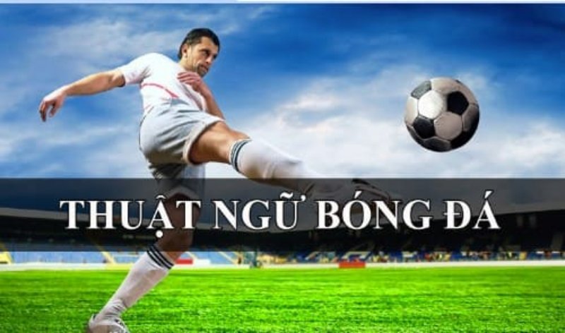 Bí quyết nhớ thuật ngữ dễ dàng