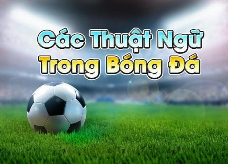 Các thuật ngữ có trong kèo châu Á