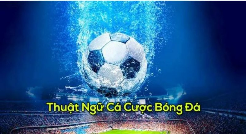 Định nghĩa về Thuật ngữ bóng đá 