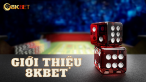 Giới thiệu 8kbet