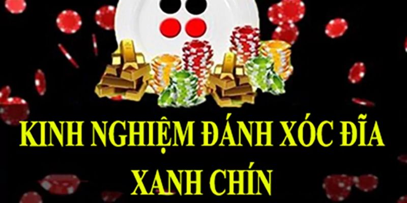 Kinh nghiệm tham gia ngáp bát xóc đĩa chi tiết nhất