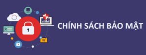 Những thông tin về chính sách 8kbet