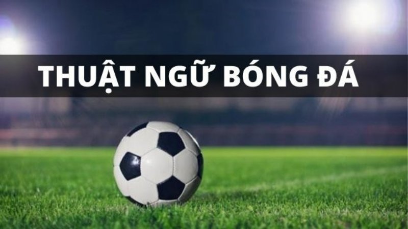 Vài thuật ngữ tiếng anh bạn nên biết